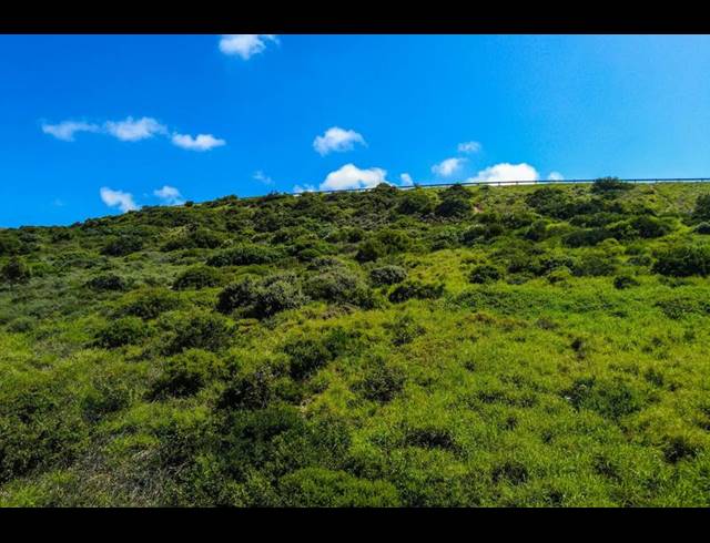 LAND FOR SALE IN DIAZ INDUSTRIA